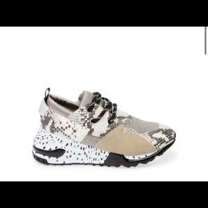 Steve Madden Cliff Sneaker